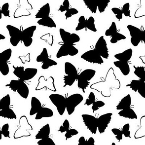 black and white butterflies