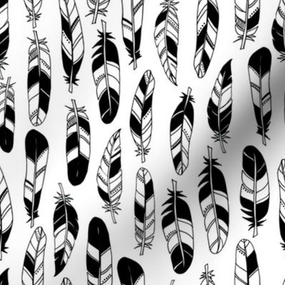 Feathers - black and white