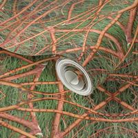 Twigs and Grass