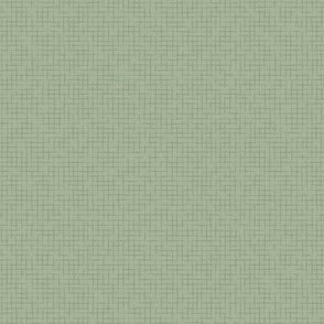 Distressed Weave: Sage Green Texture