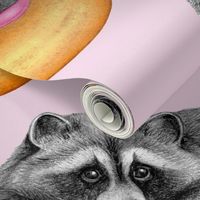 A Raccoons Weakness - on pale pink