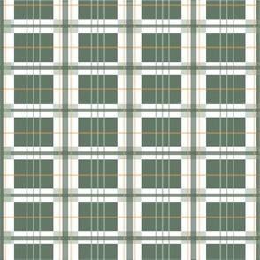 1940's green plaid pattern