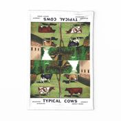 Types of Cows vintage reproduction