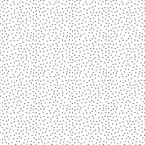 BKRD Polka Dot Black & White 2x2