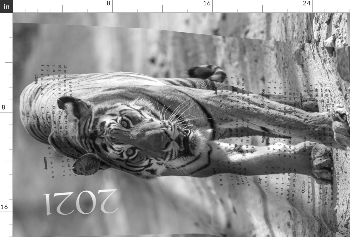 2021 Tiger fabric calendar Black and white photography