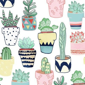 Cute Cacti In Pots - Large