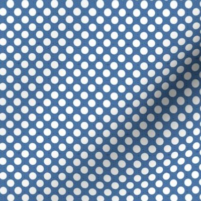 polka dots blue and white | tiny 