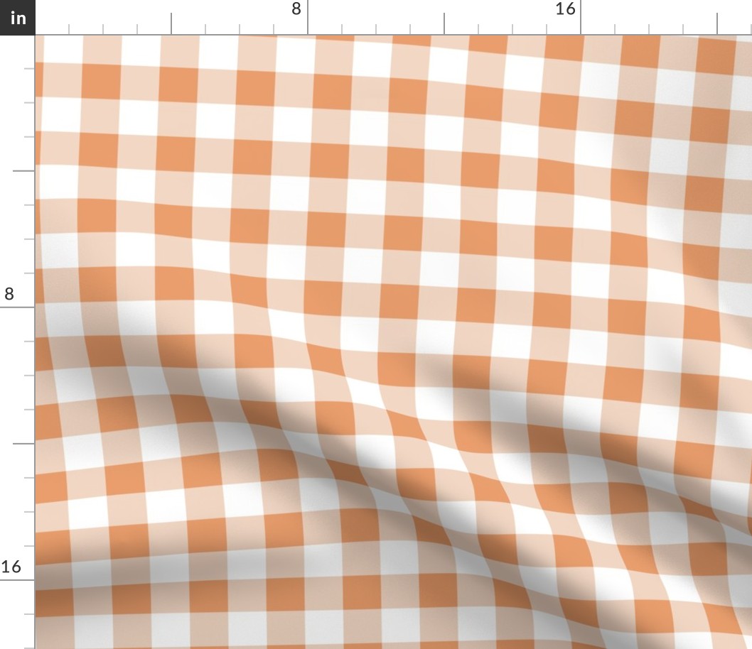 Peachy Gingham 2x2