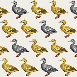 Duck Duck Grey Duck on Linen