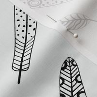 Black and white birdie feathers