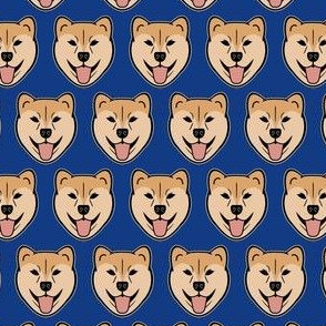 shiba inu on blue