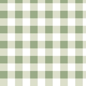 Sage and Mint Gingham 1.4x1.4