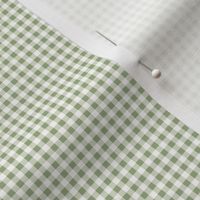 Sage and Mint Gingham .21x.21