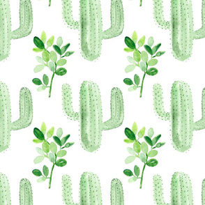 Light green Cactus