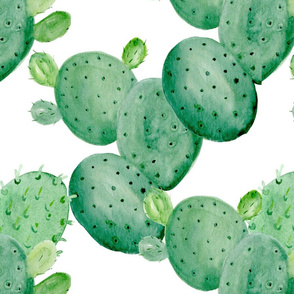 Pattern cactus 6