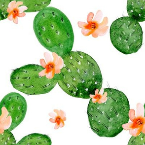 Pattern cactus 10