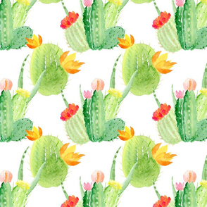 Pattern cactus 