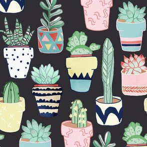 Cute Cacti In Pots on Dark Grey - Large