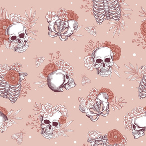 Cute Skeleton Wallpapers  Wallpaper Cave