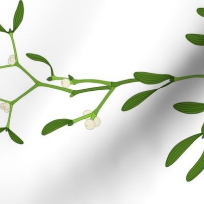 large - white mistletoe on white horizontal