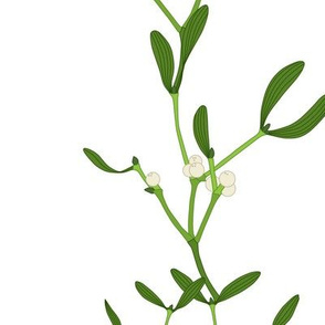 large - white mistletoe on white vertical