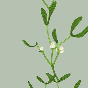 large - white mistletoe on green vertical