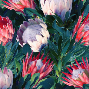 Lush Protea Botanical - large print