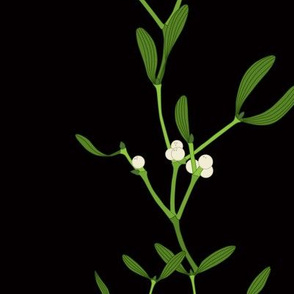 large - white mistletoe on black vertical