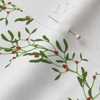 small - white mistletoe on white round