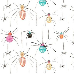 spiders on white