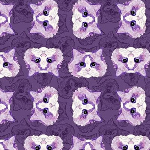Double Purple Ragdoll Cats small scale