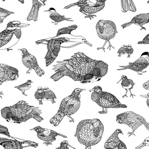 NZ Native Birds Newsprint