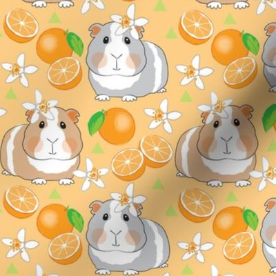 large guinea pigs and oranges on peach