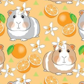 large guinea pigs and oranges on peach