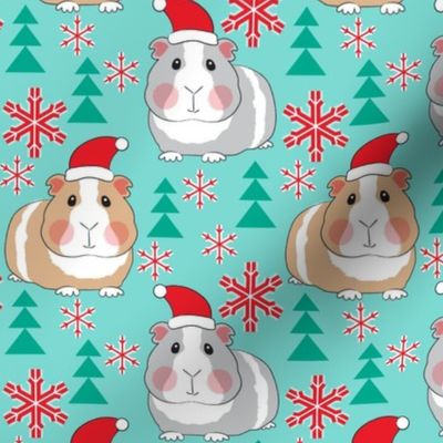 large guinea pigs with santa hats on teal