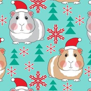 large guinea pigs with santa hats on teal