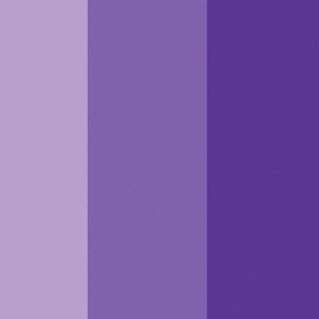 Ombre Purple wide stripe