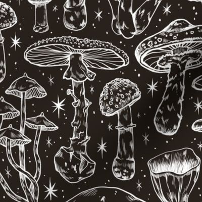  Deadly Mushrooms in Black
