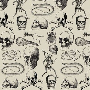 Skulls, Skulls, Skulls- medium