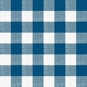 navy and white woven check
