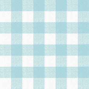 light blue and white woven check