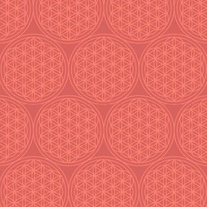 Sacred Geometry in Coral