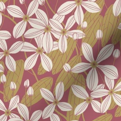 Climbing vines - clematis - warm vintage palette