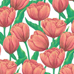 Only tulips - Melon orange