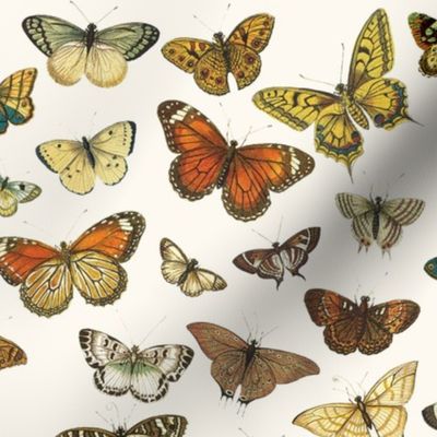 Flutter Butterflies Au Naturel // large