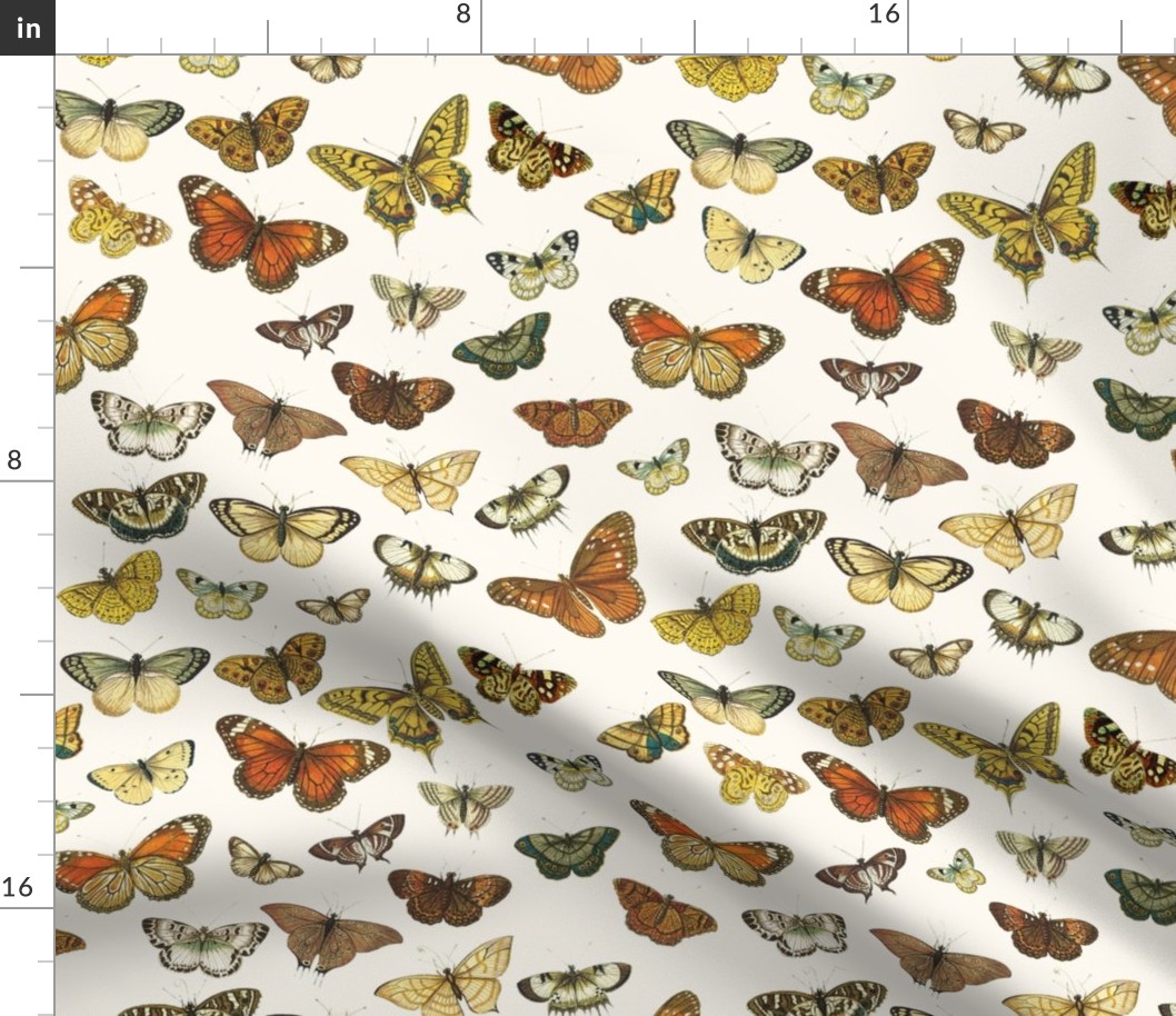 Flutter Butterflies Au Naturel // large