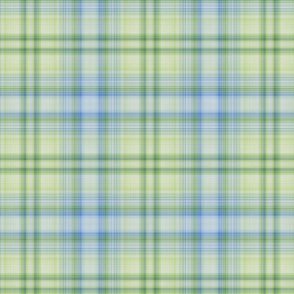 A Little Bit of Chaos Plaid 1 (0752)