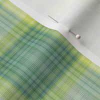 A Little Bit of Chaos Plaid 3 (0752)