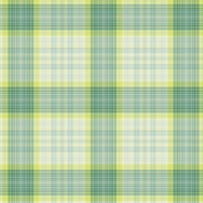 A Little Bit of Chaos Plaid 3 (0752)