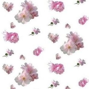 Pink Cherry Blossoms Pattern
